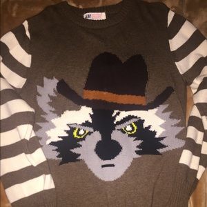 H&M Boys sweaters